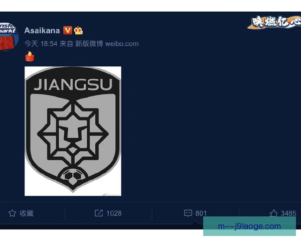 官方供应商低级别联赛的处境，权益保障与成本压力